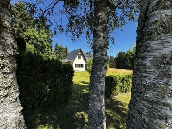 Immobilie in Eibenstock - Haus auf 900 m ü NN am Auersberg im Erzgebirge - Bild 0