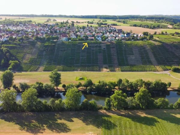 Immobilie in Ingersheim - Freistehendes Einfamilienhaus am Weinberg mit Neckarblick - Bild 1