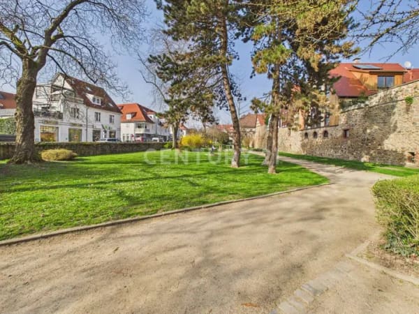 Immobilie in Zwingenberg - Top Erdgeschosswohnung mit Garten und Vielem mehr - Bild 3