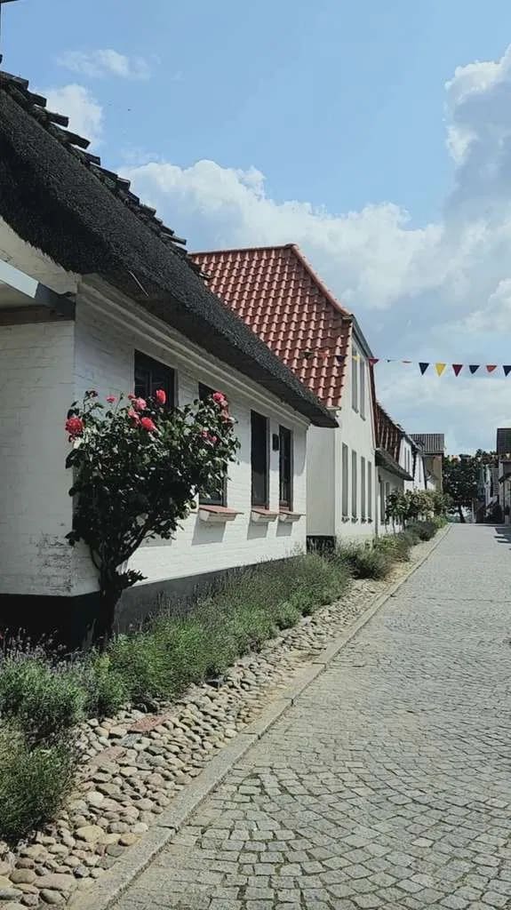 Immobilie in Maasholm - Maritimes Juwel mit Schleiblick:Reetgedeckter Haustraum im Herzen von Maasholm - Bild 2