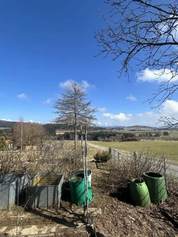Immobilie in Wegscheid - Vielseitiges Wohnhaus mit Einliegerwohnung, Praxisräumen und traumhafter Alleinlage bei Wegscheid - Bild 2