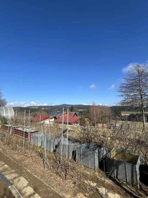 Immobilie in Wegscheid - Vielseitiges Wohnhaus mit Einliegerwohnung, Praxisräumen und traumhafter Alleinlage bei Wegscheid - Bild 3