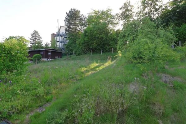 Immobilie in Meißner - Wohnen auf einer Ebene – Gemütliches Einfamilienhaus mit Garagen und großem Grundstück - Bild 2