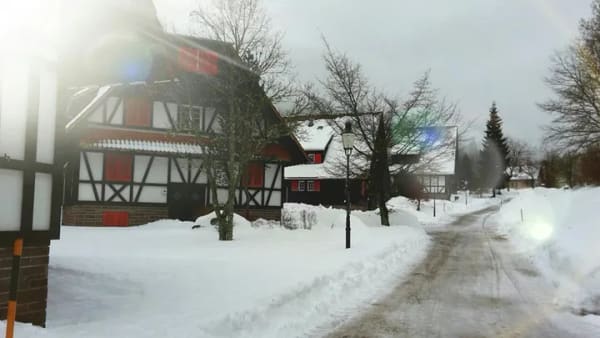 Immobilie in Forbach - Wohnung in Forbach - Bild 3
