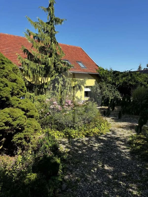 Immobilie in Bismark (Altmark) - Mehr Platz für Ihr Leben – Anwesen mit eigenem Wäldchen, Remise und Entwicklungspotenzial - Bild 4