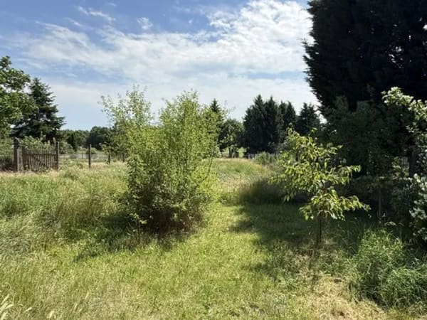 Immobilie in Gardelegen - Einfamilienhaus mit NEBENGELASS - Bild 3