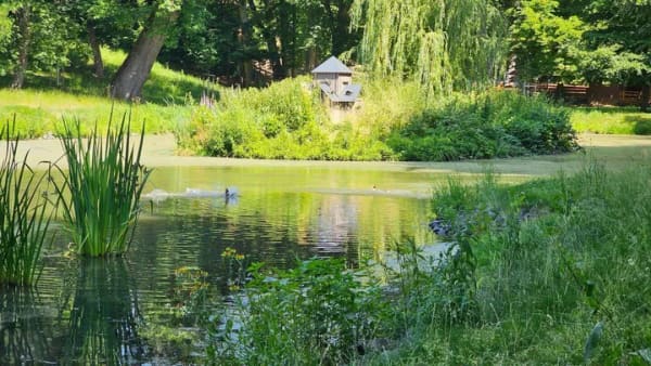 Immobilie in Geithain - Stadthaus in Geithain zu verkaufen - Bild 2