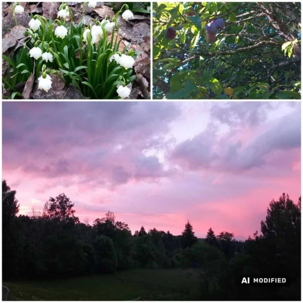 Immobilie in Mauth - Ländliche Idylle: Sacherl - beeindruckender Fernblick und vielseitiges Nutzungspotenzial - Bild 3