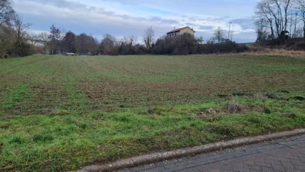 Immobilie in Freimersheim - Seltene Gelegenheit: Resthof, 2.225 m² Grundstück, Halle, Baureserve und Photovoltaikanlage - Bild 0