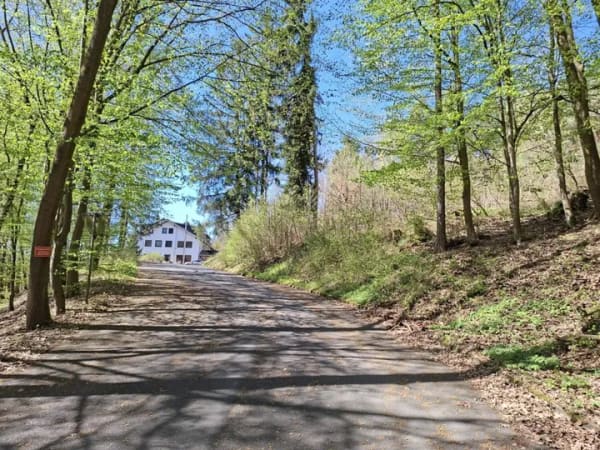 Immobilie in Ronshausen - Haus in Ronshausen - Bild 2