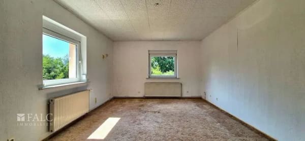 Immobilie in Beilrode - **2.290 m² Freiheit für Familie, Generationen und Ideen** FALC IMMOBILIEN - Bild 3