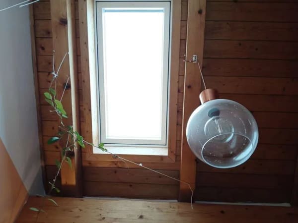 Immobilie in Piding - Gemütliche Dachgeschosswohnung in Piding ! - Bild 4