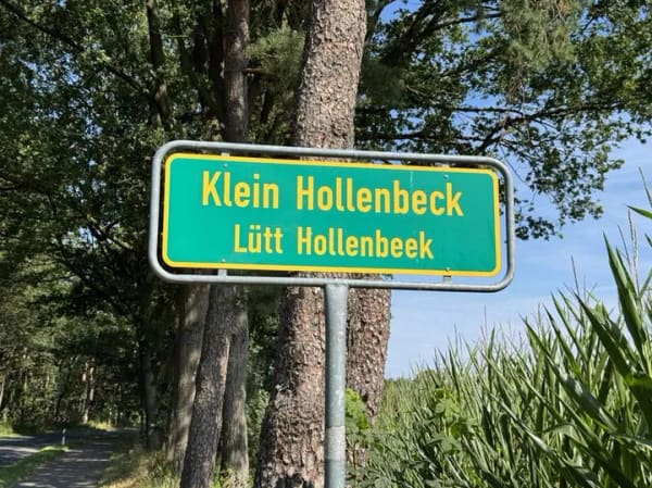 Immobilie in Harsefeld - Familienfreundliches Eigenheim in ruhiger Lage mit vielen Möglichkeiten - Bild 1