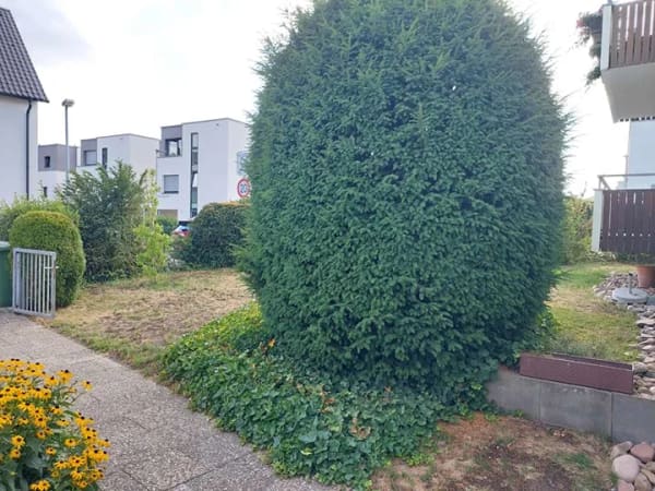 Immobilie in Korntal-Münchingen - Attraktiver Preis , Stuttgart Korntal: 108 m² EG Wohnung, sehr ruhige Lage - Bild 3