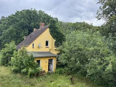 Immobilie in Klütz - ALLEINLAGE IN OSTSEENÄHE AUF 5000 QM EIGENLAND - Bild 4