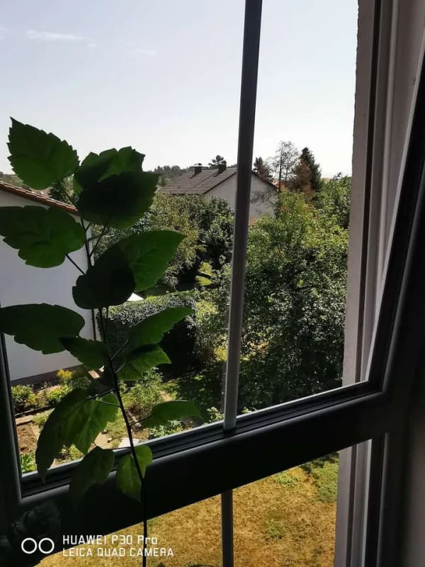 Immobilie in Altenmarkt an der Alz - 8 km zum Chiemsee, 26 m2 Dachterrasse mit Bergblick  - Bild 4