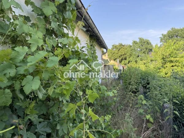 Immobilie in Bad Rappenau - Einfamilienhaus freistehend in Bad Rappenau Heinsheim (Bad Rappenau) - Bild 3