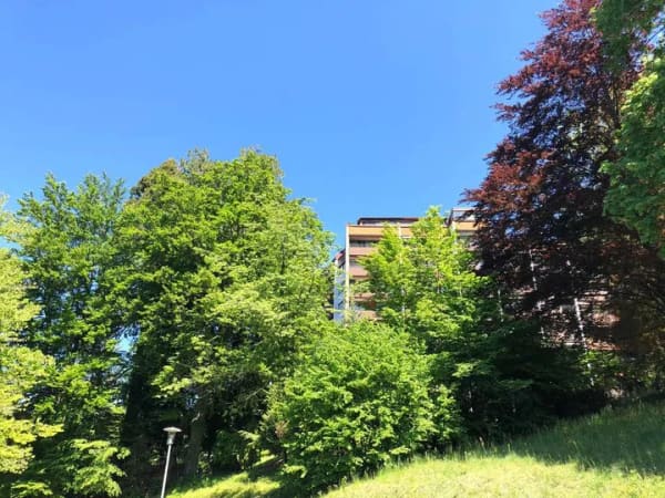 Immobilie in Bad Herrenalb - Appartement in ruhiger Waldrandlage - Bild 1