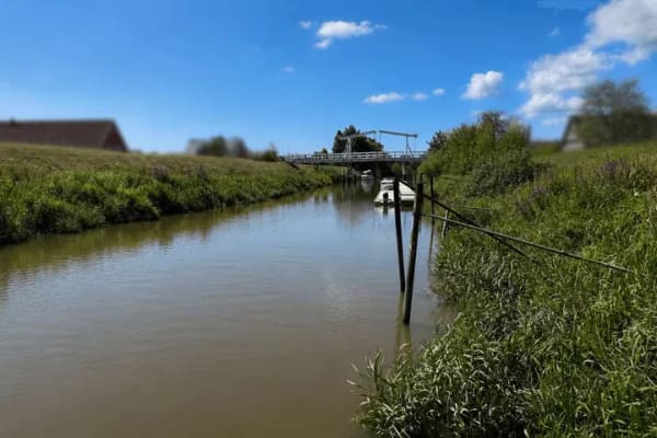 Immobilie in Steinkirchen - Wo der Alltag am Wasser endet und Erholung beginnt - Bild 2