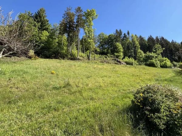 Immobilie in Lenzkirch - Ein Zuhause mit Geschichte, großem Potenzial und zwei großzügigen Grundstücken - Bild 3