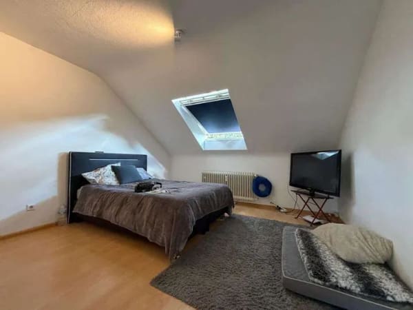 Immobilie in Gundelfingen - Ruhig gelegen. Clever investiert. Zuhause mit Zukunft in Gundelfingen - Bild 4
