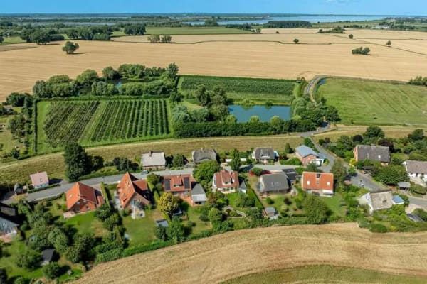 Immobilie in Seestermühe - Das Glück liegt am Feldrand. - Bild 3