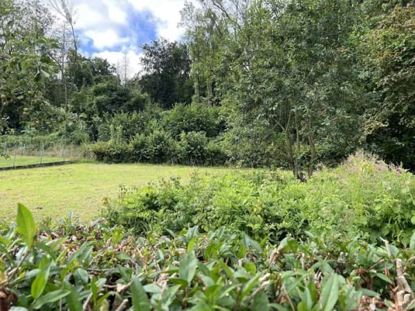 Immobilie in Eime - Idyllische Lage inklusive - Bild 4