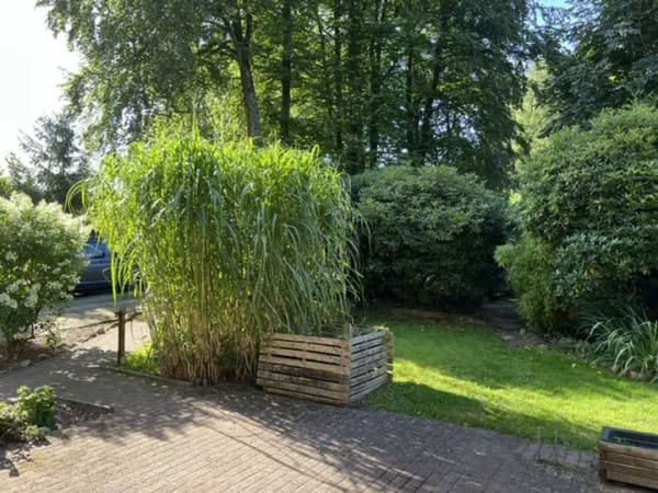 Immobilie in Aumühle - „Traumgrundstück in Toplage – Einfamilienhaus mit Sanierungsbedarf“ - Bild 3