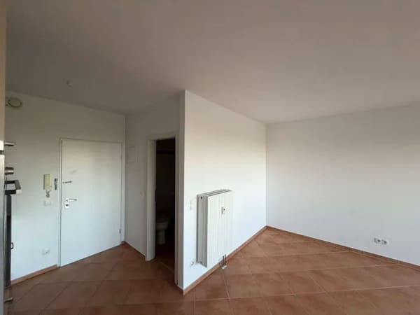 Immobilie in Schönberg (Holstein) - 1-Zimmer-Wohnung in Schönberg - Bild 3
