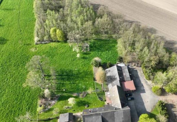 Immobilie in Wiedensahl - Sonstige in Wiedensahl - Bild 3