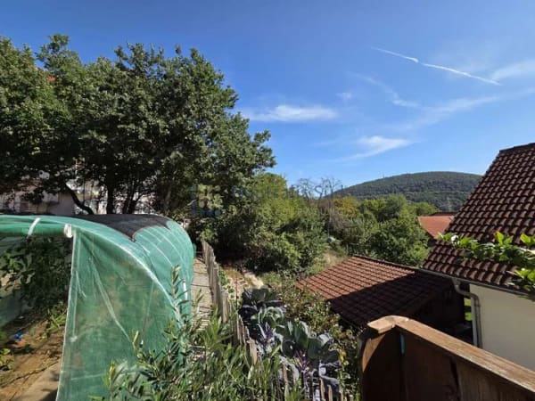 Immobilie in Höchst im Odenwald - Sehr schönes KfW-50-Haus mit EBK und Einliegerwohnung – naturnahes Wohnen im Herzen des Odenwalds - Bild 1