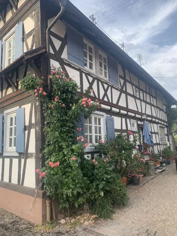 Immobilie in Herxheim - Provisionsfrei ! Historisches Fachwerkhaus - Bild 2