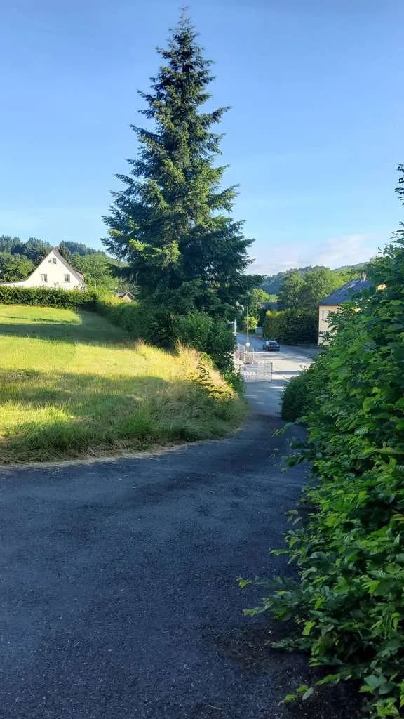 Immobilie in Hallenberg - Gediegenes Einfamilienhaus mit sehr großem Garten in Hallenberg - Bild 1