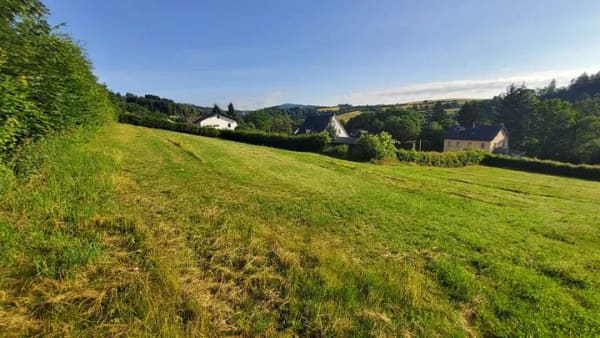 Immobilie in Hallenberg - Gediegenes Einfamilienhaus mit sehr großem Garten in Hallenberg - Bild 4