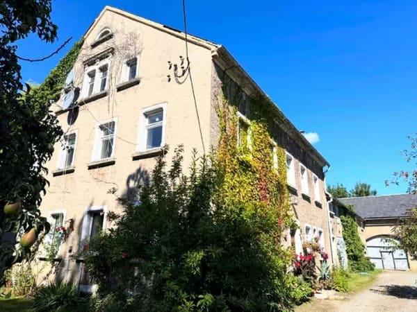 Immobilie in Elstra - Halštrow - Für Sie und ... Ihre Pferde? - Bild 3