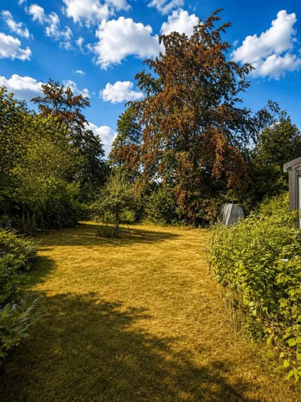 Immobilie in Hilders - Ferienhaus oder dauerhaftes Zuhause – außergewöhnliches Anwesen mit 1.225 m² Grundstück in der Rhön - Bild 2