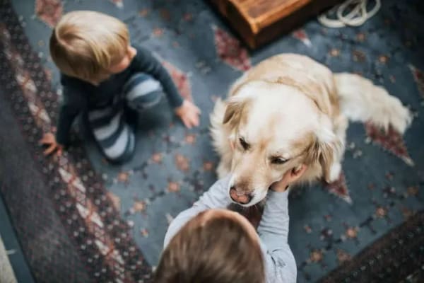 Immobilie in Tharandt - Familientraum: Energieklasse A Neubau mit viel Platz im Kurort Hartha bei Tharandt - Bild 2