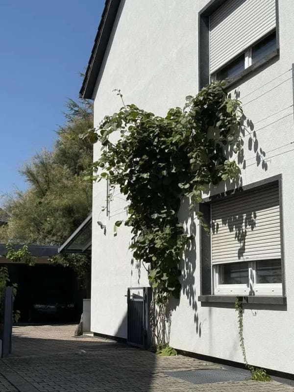 Immobilie in Rheinzabern - Modernes EFH mit Einliegerwohnung & Traumgarten | Provisionsfrei & bezugsbereit - Bild 1
