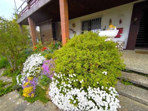 Immobilie in Bad Münder am Deister - Großzugiges Einfamilienhaus mit vielen Highlights - Bild 4