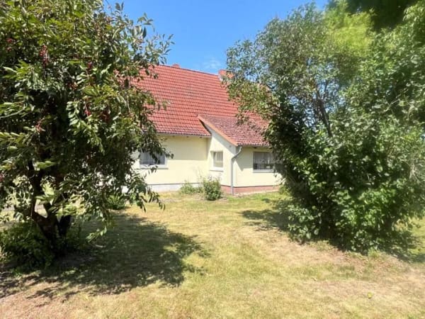 Immobilie in Nossendorf - Randlage: Naturnahes Einfamilienhaus mit Scheune auf großem Grundstück... - Bild 3