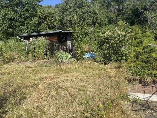 Immobilie in Erdesbach - großzügiges Wohnhaus mit viel Platz, terrassiertem Garten und vielfältigen Nutzungsmöglichkeit - Bild 1