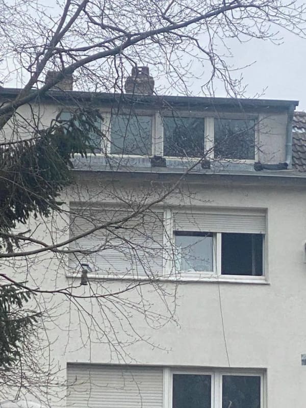 Immobilie in Mönchengladbach - ssnierungsdedürftiges Objekte / Abriss-Objekte in Mönchengladbach Stadtmitte - Bild 3