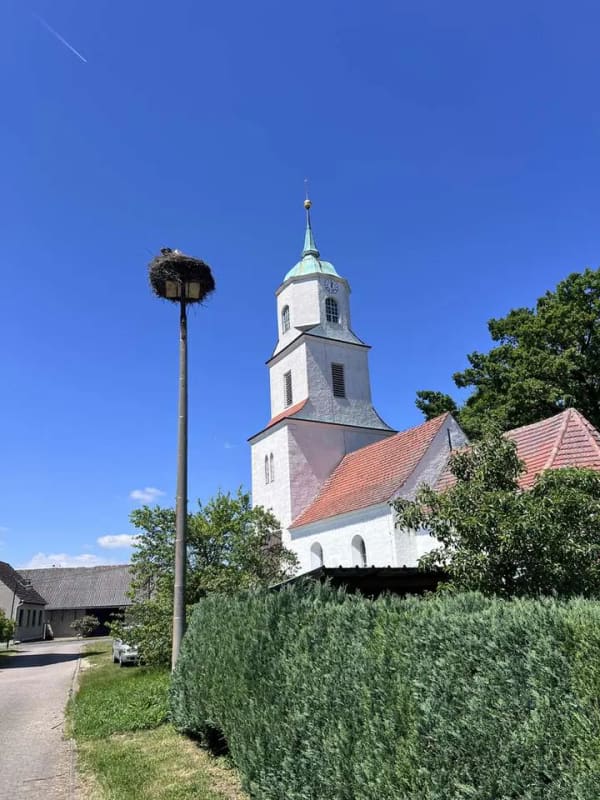 Immobilie in Fichtwald - großer Vierseitenhof 04936 Stechau Wohnhaus Nebengelass Ackerland - Bild 1