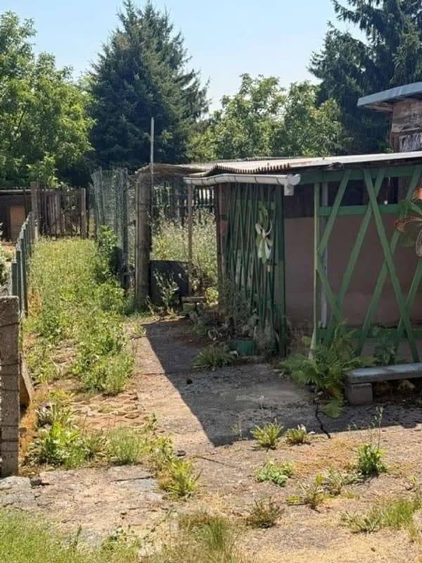 Immobilie in Lutherstadt Eisleben - Doppelhaushälfte mit Doppelgarage in Eisleben  – ideal für Handwerker - Bild 4