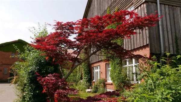 Immobilie in Blumenthal - Paradies für Kinder in Hofgemeinschaft in Sören. 4 Zimmer Erdg.wohnung mit Garten, provisionfrei - Bild 1
