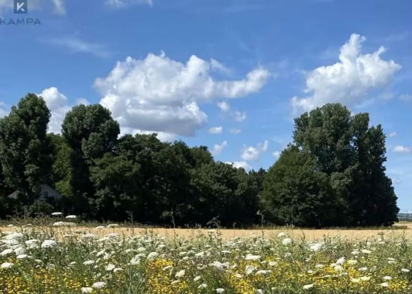 Immobilie in Frechen - Attraktive Baugrundstücke in begehrter Lage in Frechen - Bild 0