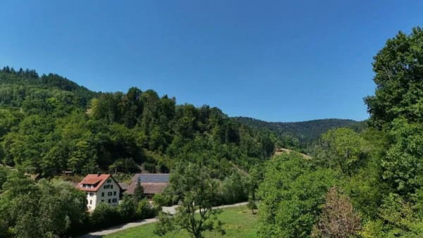 Immobilie in Stegen - Freistehendes Einfamilenhaus mit Einliegerwohnung Freiburg Ost   - Bild 3