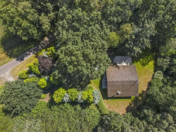 Immobilie in Colnrade - Colnrade-Beckstedt | Gepflegter Bungalow in wunderschöner Alleinlage - Bild 2