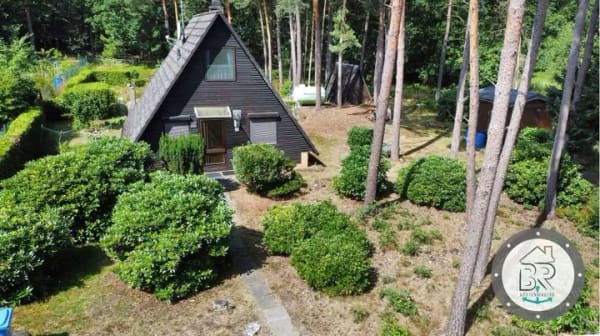 Immobilie in Armstorf - Natur genießen, Waldluft atmen – Nurdachhaus mit Saunahaus auf Wohngrundstück - Bild 0