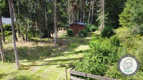 Immobilie in Armstorf - Natur genießen, Waldluft atmen – Nurdachhaus mit Saunahaus auf Wohngrundstück - Bild 3
